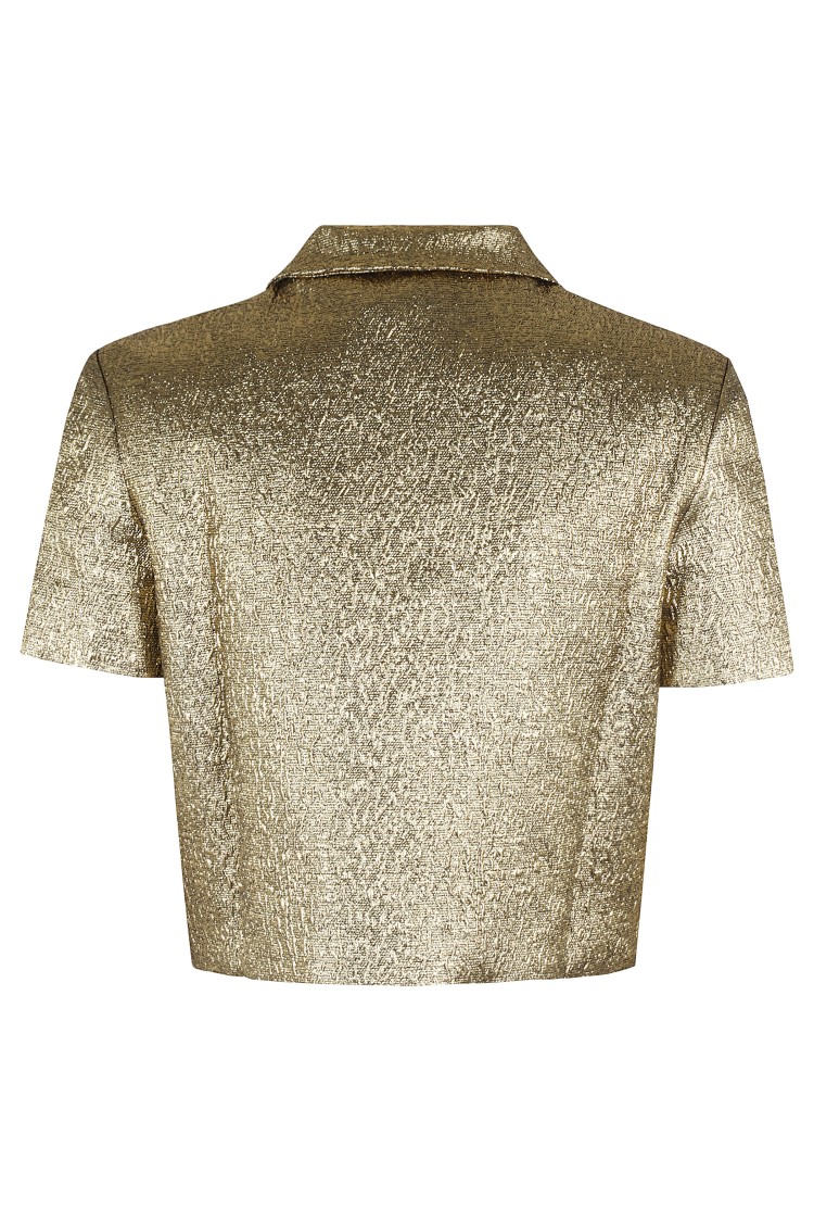 Self-portrait Cropped Gold Metallic Jacquard Top In Neutrals
