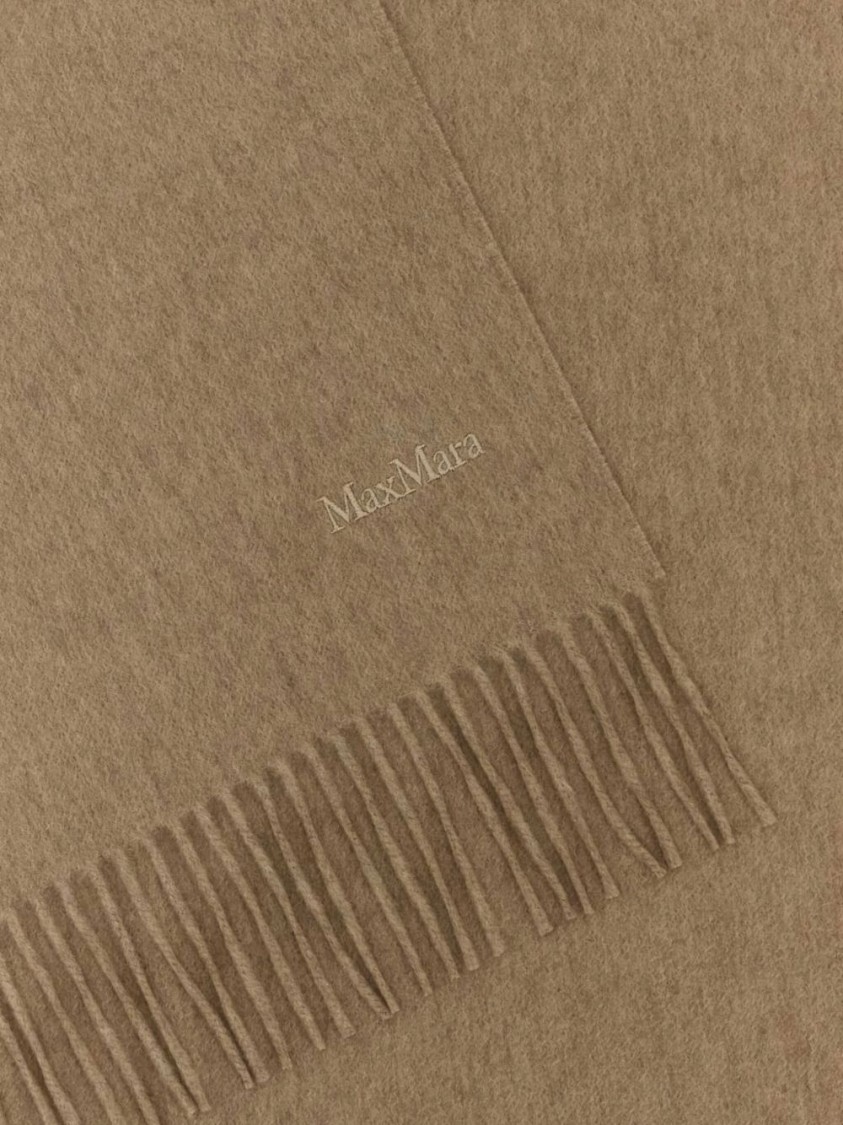 Shop Max Mara Fringed Cashmere Baci Scarf With Embroidered Logo