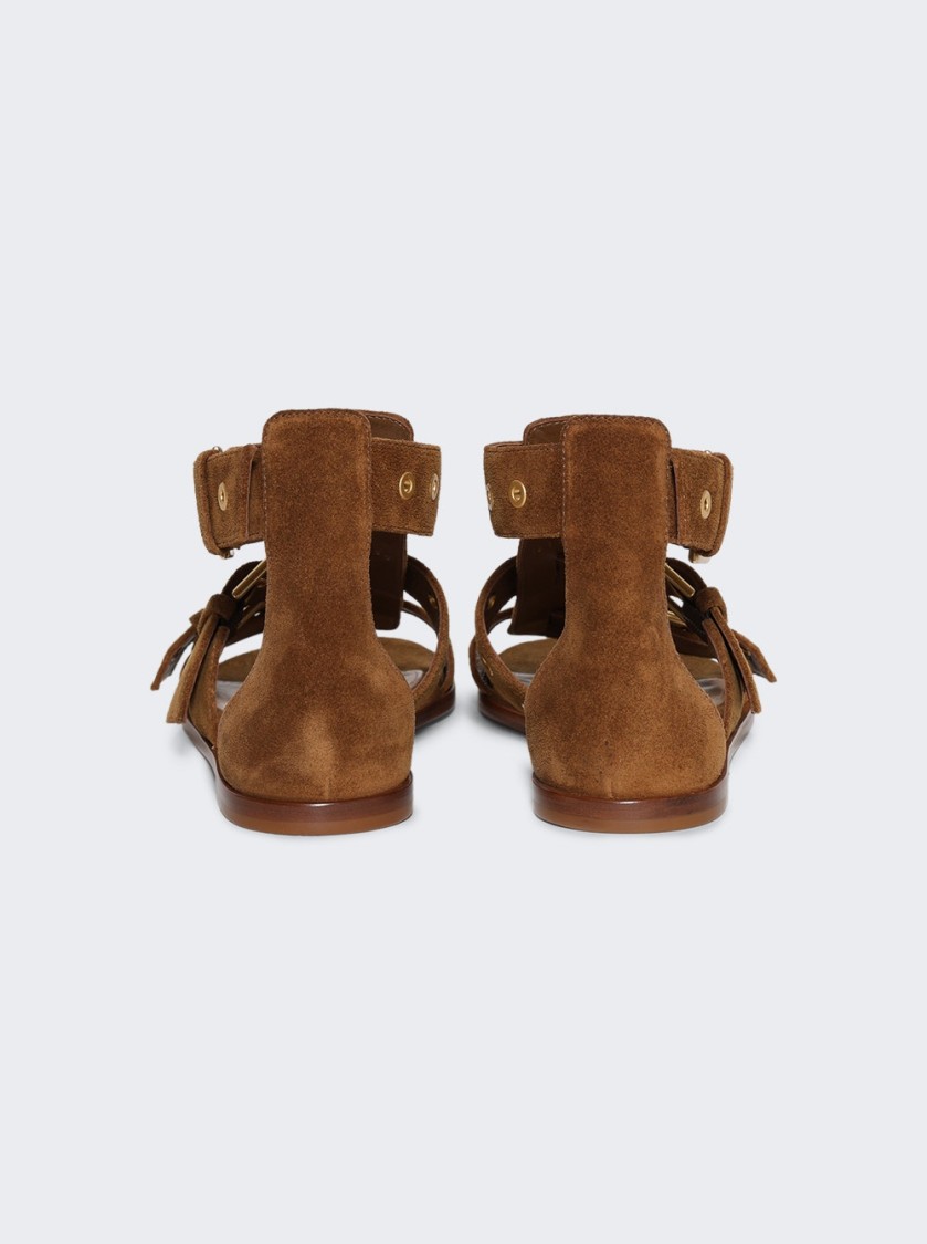 Gianvito Rossi Buckle-strap Flat Sandals In Green