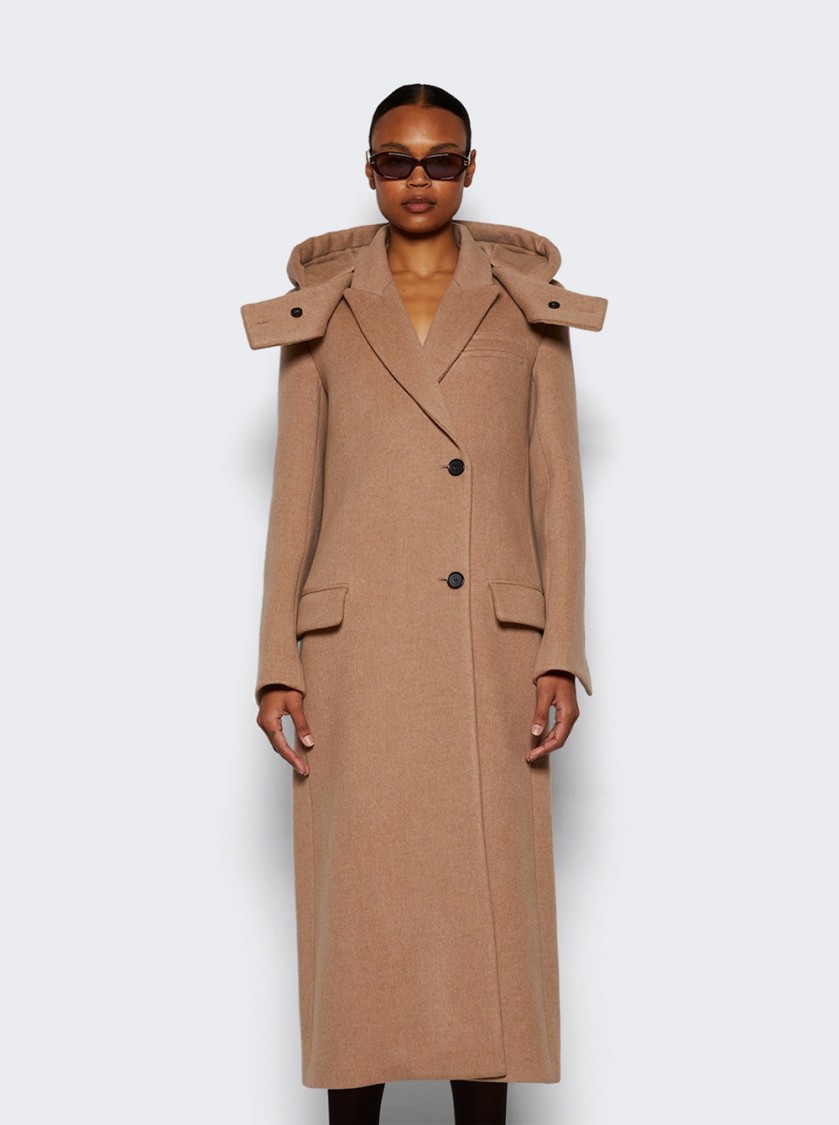 Shop Proenza Schouler Reed Hooded Brushed Melange Wool Coat