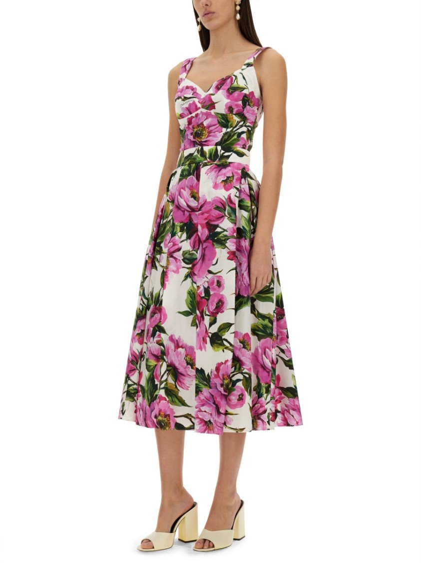 Dolce & Gabbana Multicolor Rose-print Cotton Circle Midi Skirt In Pink