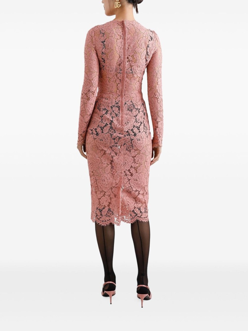 Dolce & Gabbana Women Branded Floral Cardonetto Lace Sheath Dress In Pink