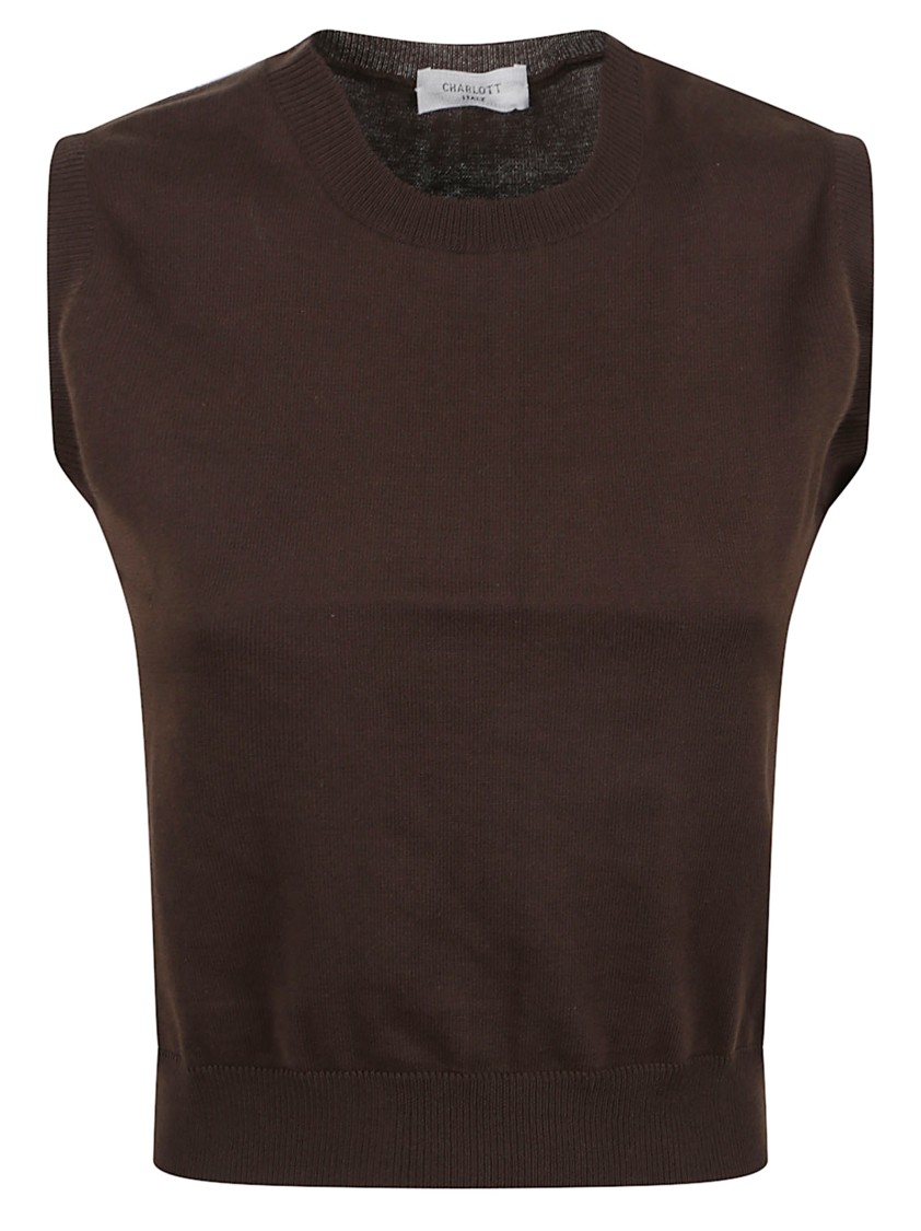 Charlott Fitted Round Neck Top With Ribbed Hem In Brown