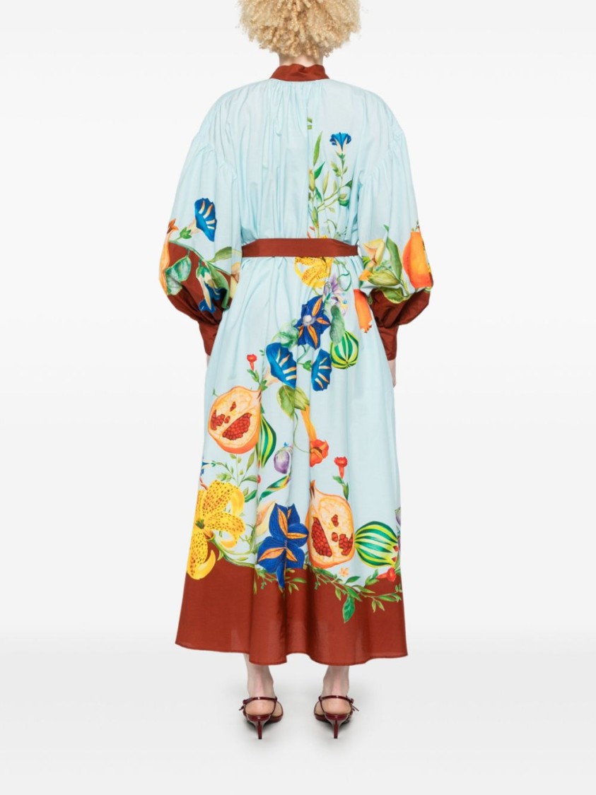 Alemais Dahlia Printed Cotton-blend Midi Shirt Dress In Blue