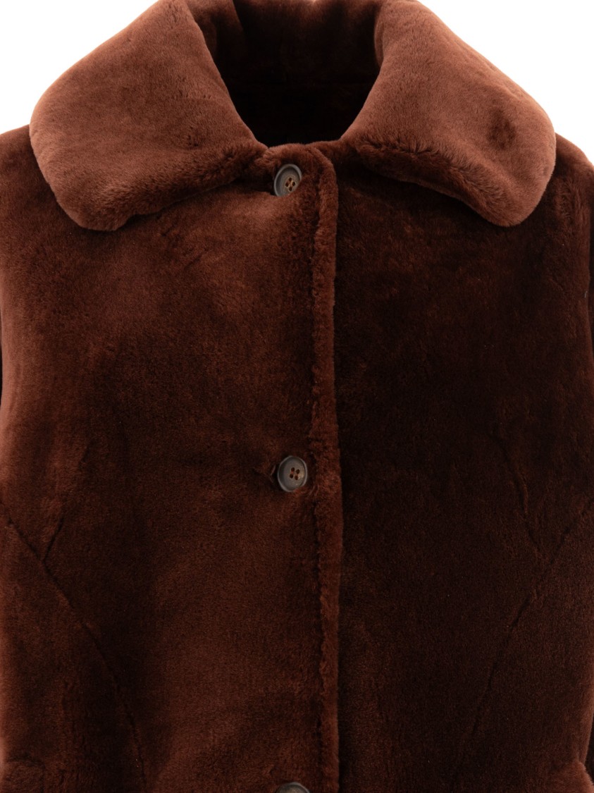 B&w Button-fastening Collar Coat In Brown