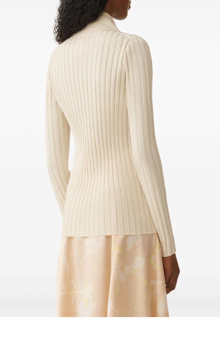 Fabiana Filippi Ribbed High Collar Top With Button-down Front In Neutrals