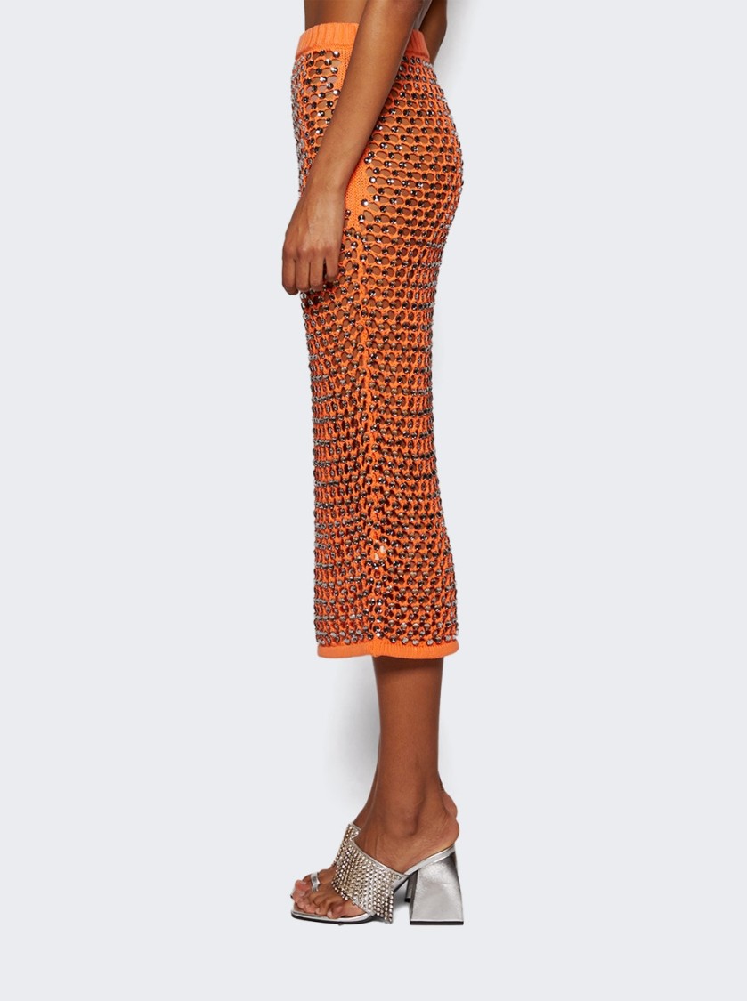 DIOTIMA DIOTIMA SPICE SKIRT IN CRYSTAL MESH 