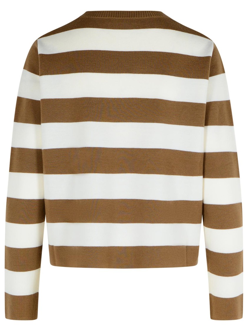 Max Mara Sleeveless Crew Neck Top With Embroidered Detail In Brown