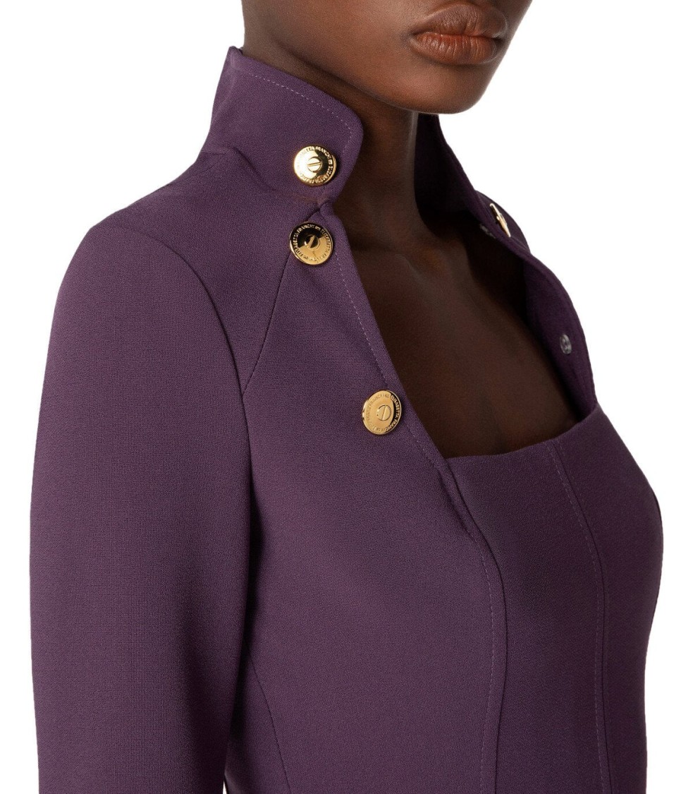 Elisabetta Franchi High-collar Purple Dress With Gold Logo Buttons And Flounce Detail In Purple