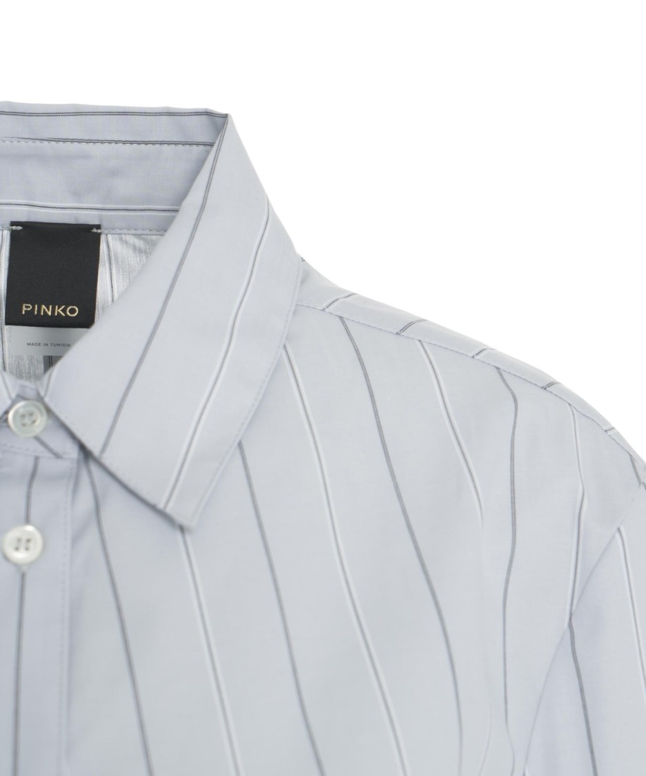 Pinko Long-sleeved Striped Shirt In Neutrals