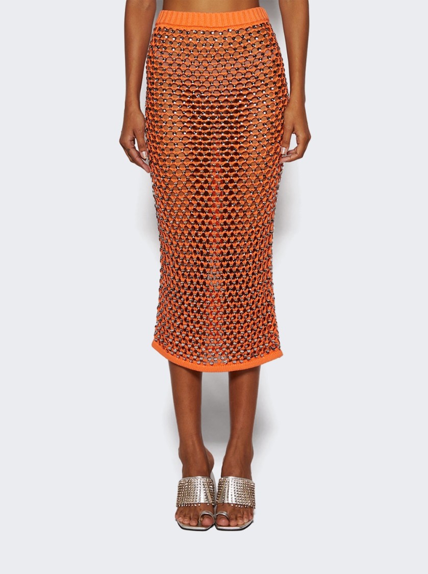 DIOTIMA DIOTIMA SPICE SKIRT IN CRYSTAL MESH 