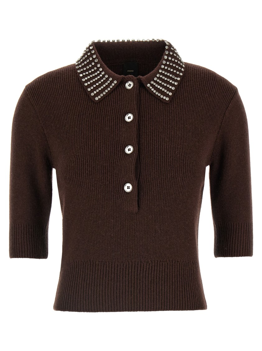 Pinko Emilia Sweater With Strass In Brown