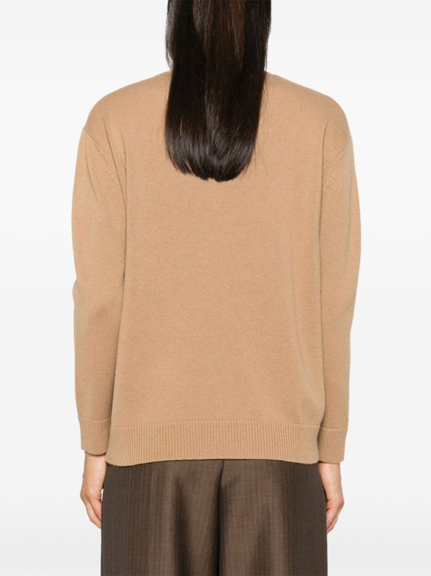 Max Mara Maxmara Women 1951 Sequin Embroidery Pullover In Brown