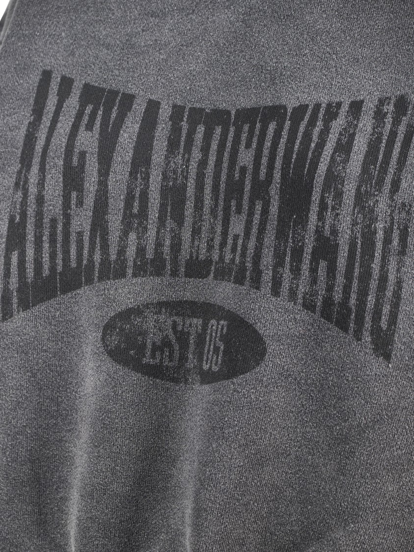 Alexander Wang Graphic Crewneck Sweatshirt In Gray