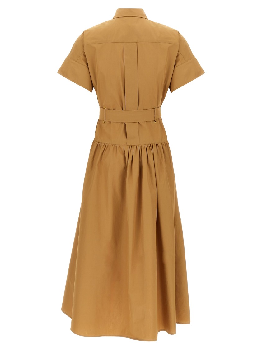 Max Mara Agoraio Cotton Poplin Shirt Dress In Brown