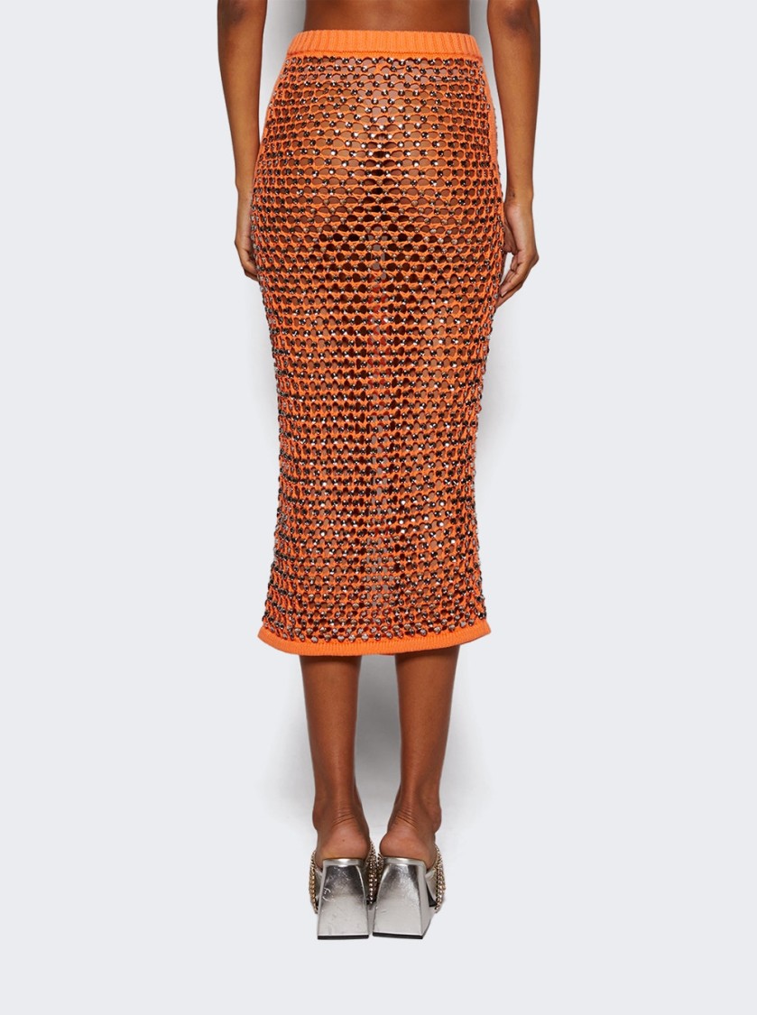 DIOTIMA DIOTIMA SPICE SKIRT IN CRYSTAL MESH 