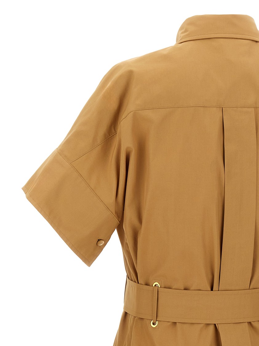 Max Mara Agoraio Cotton Poplin Shirt Dress In Brown