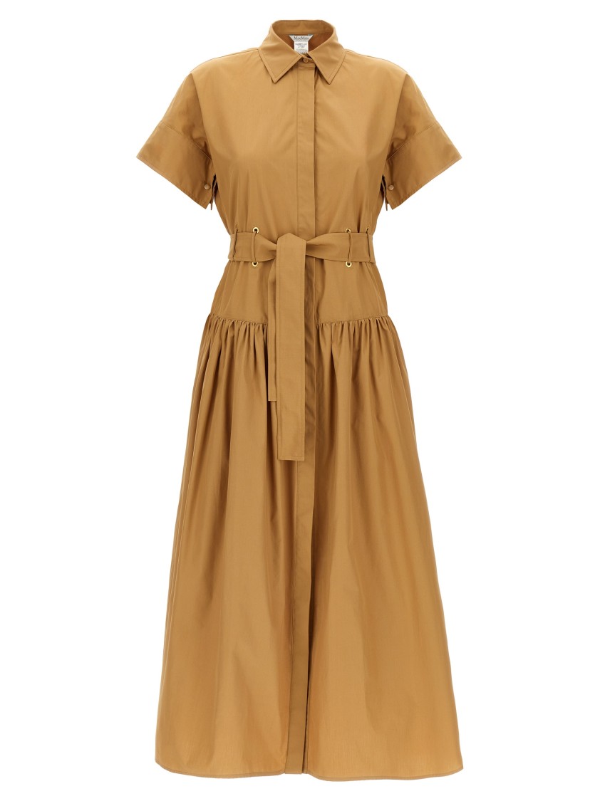 Max Mara Agoraio Cotton Poplin Shirt Dress In Brown