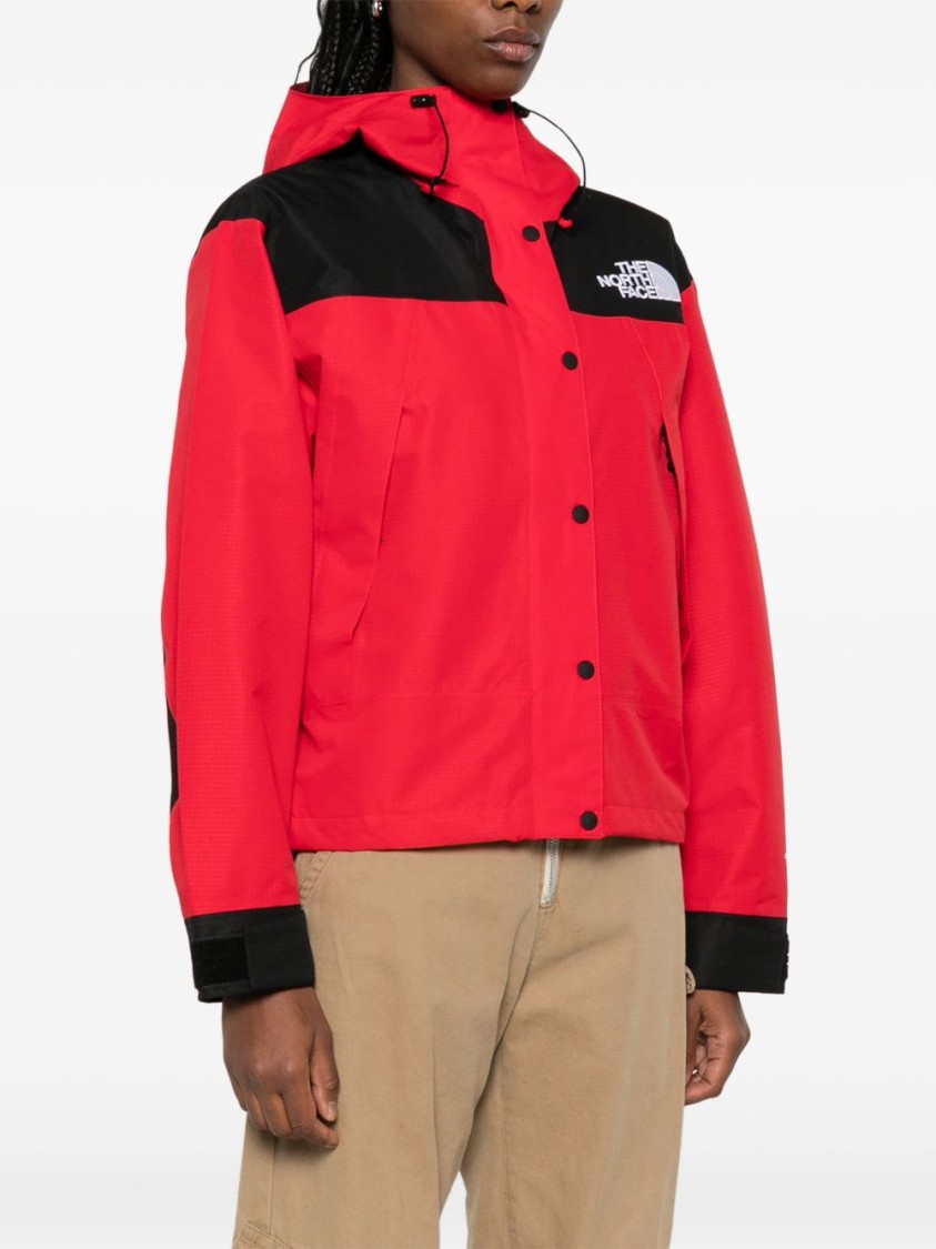 THE NORTH FACE THE NORTH FACE DRYVENT™ MONO MOUNTAIN JACKET 