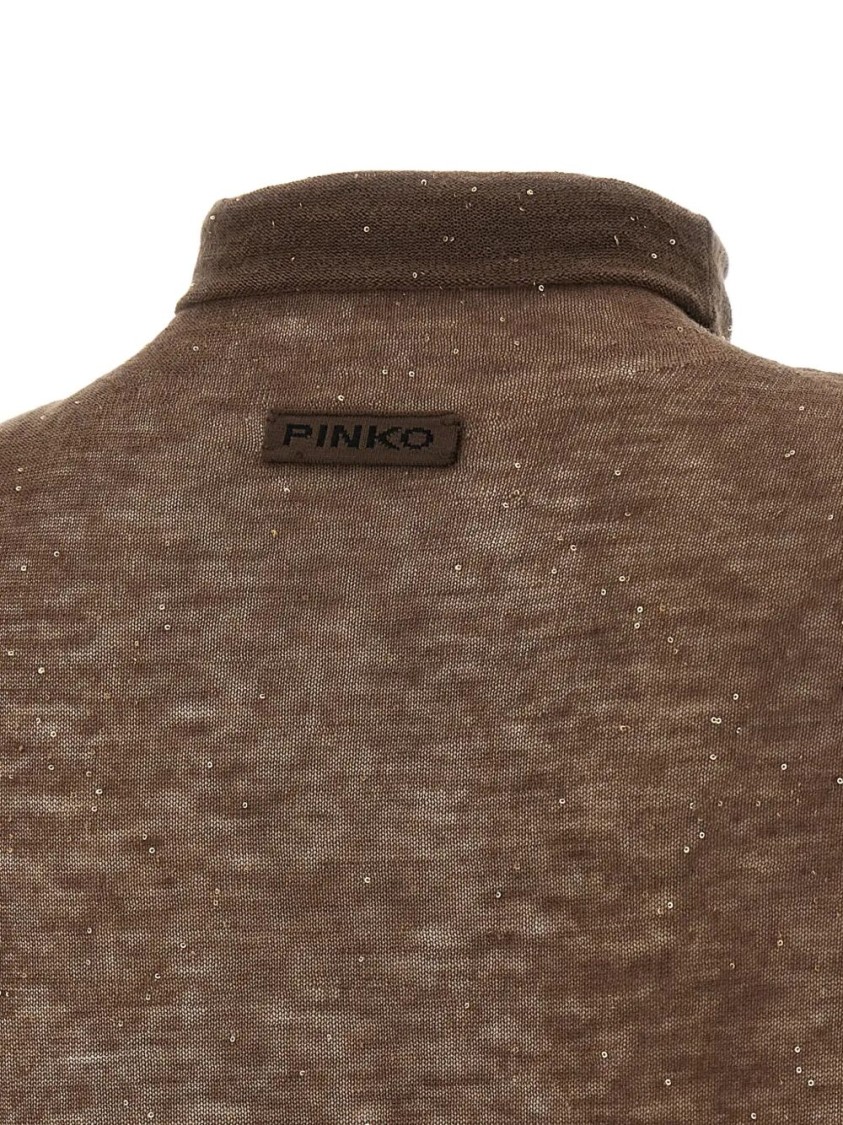 Pinko Sweater In Brown
