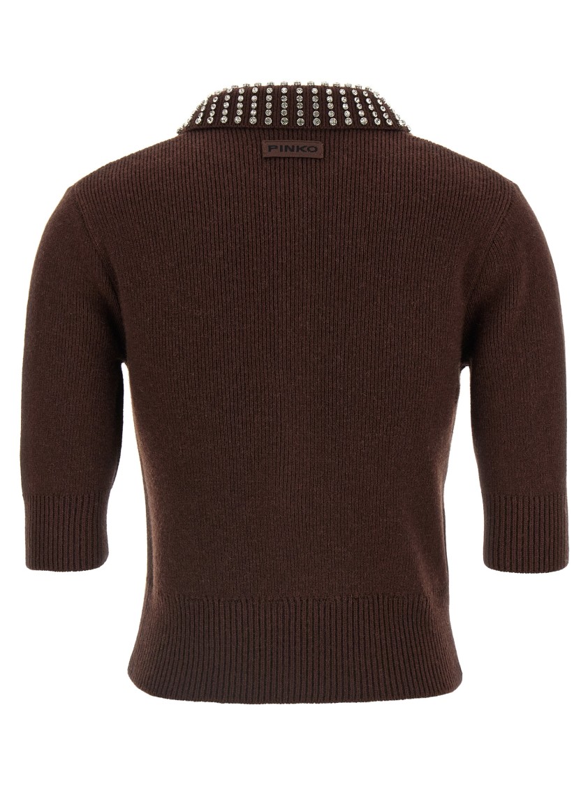 Pinko Emilia Sweater With Strass In Brown