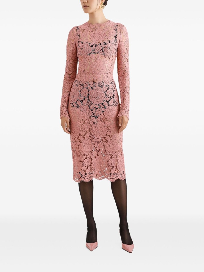 Dolce & Gabbana Women Branded Floral Cardonetto Lace Sheath Dress In Pink