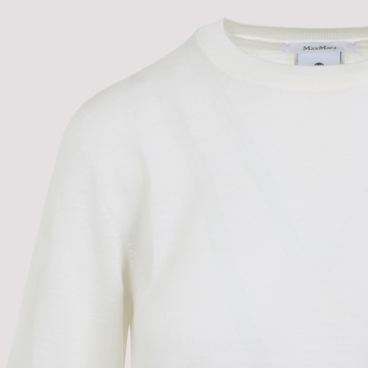 Tシャツ・カットソー Max Mara Max Mara Gerico SS Knit T-shirt Max Mara Gerico Ss Knit T-Shirt in White | THE LIST